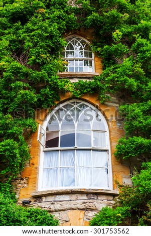 vine overgrown old building in Taunton, Somerset, England