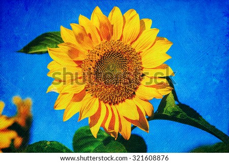 picture of a sunflower altered with a texture for a oil painting look