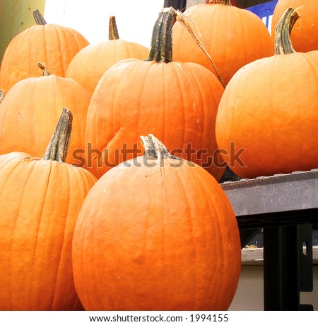 Pumpkins arranged for sale in front of an old-time general store.