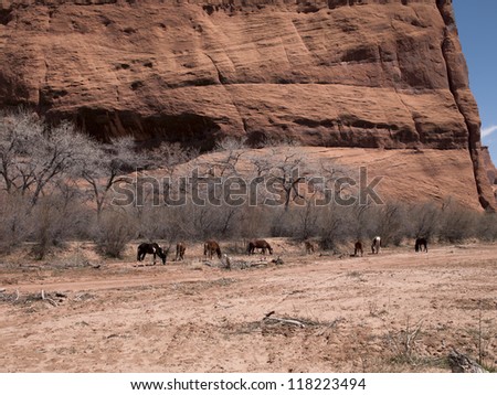 Image of group of animals with bare trees and cliff in background.