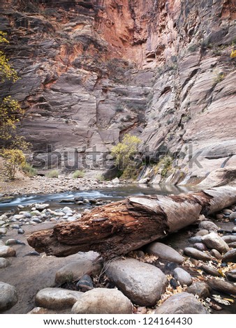 A small water pool beside a large rock face in Zion, USA.