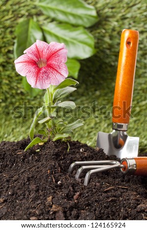 Image of planted pink flower with garden tools