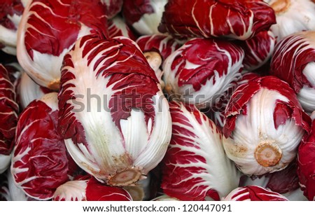 Red radicchio of treviso for sale by grocery store
