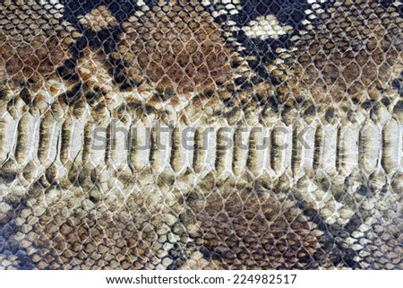 background of snake skin for leather accessories