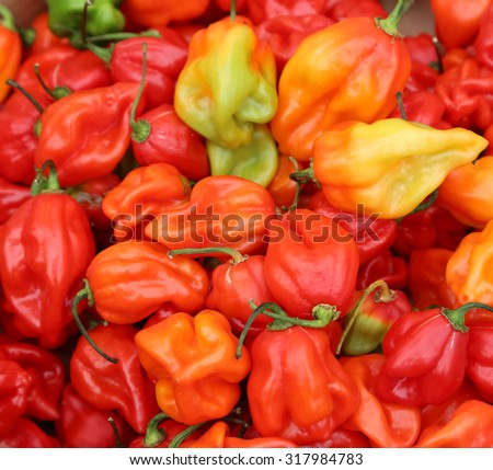 background of spicy red habanero peppers to food preparation hot spicy