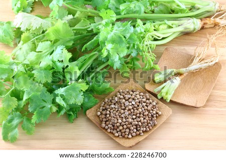 Closeup photo of fresh coriander, cilantro and a bowl of seeds