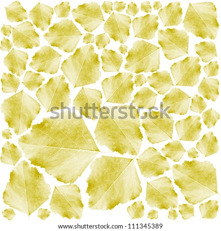 autumn leaves, yellow leaves, lots of leaves, fallen leaves, golden leaves