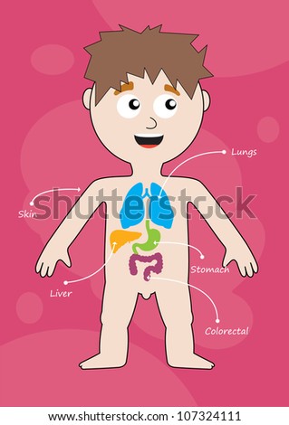 Medical Infographics. Boy With Internal Organs Stock Vector ...