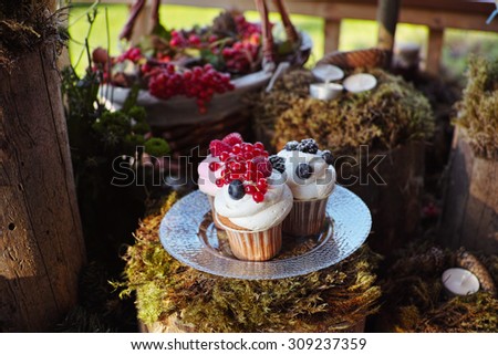 Forest Candy bar, decorated with fresh berries with delicious cakes. Wedding decor decorations for weddings forest. Three cakes decorated with moss on a stump