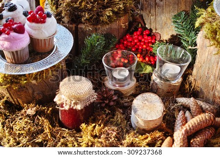 Forest Candy bar, decorated with fresh berries with delicious cakes. Wedding decor decorations for weddings forest.