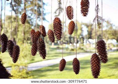 Cones as the decoration of the wedding ceremony, tear off the ropes