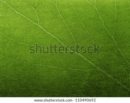 Green texture background Images - Search Images on Everypixel