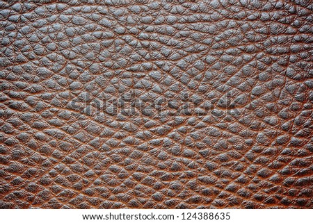 High detailed leather surface