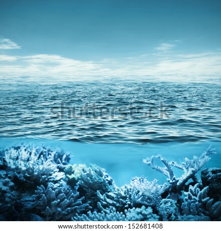 Underwater view of sea  and sky with clouds