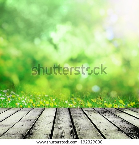 Wooden table near spring meadow