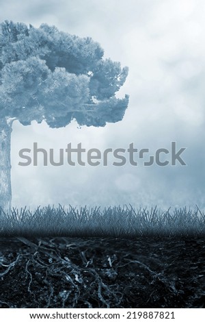 Fir tree in the soil with grass and fog sky background with sunlight
