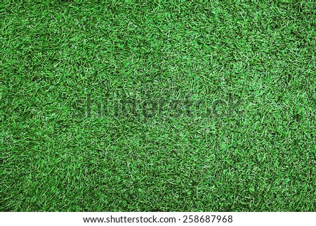 Empty sport grass field, top view of artificial material