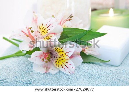 Flowers With Soap and Candle In The Background