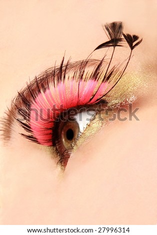 Close Up Of Eye With False Lashes