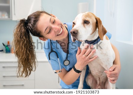 Young happy veterinary nurse smiling while playing with a dog. High quality photo