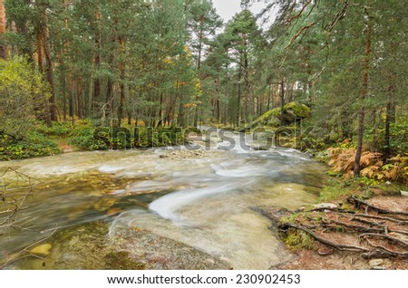 Scenic view of a river in the forest in Boca del Asno natural park on a rainy day in Segovia, Spain
