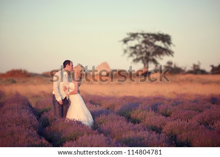 Wedding kiss in the lavender field.
