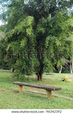 concrete bench at natural park