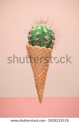 carefully deceit pricked cactus ice cream Сток-фото © 