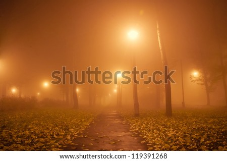 Autumn Park at night in the fog