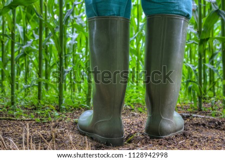 Similar – Foto Bild Landwirt in Schutzkleidung mäht Rasen in einem Garten mit einem Benzinrasenmäher