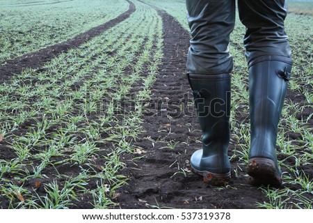 Similar – Foto Bild Feldweg im Dezember, rechts abgestorbene Nadelbäume und ein Hochsitz, rechts Wiesen hinter einem Weidezaun