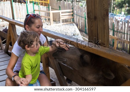 Little boy and mother communicate with camel in contact zoo