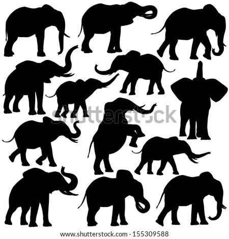 Set of editable vector silhouettes of African elephants in various poses