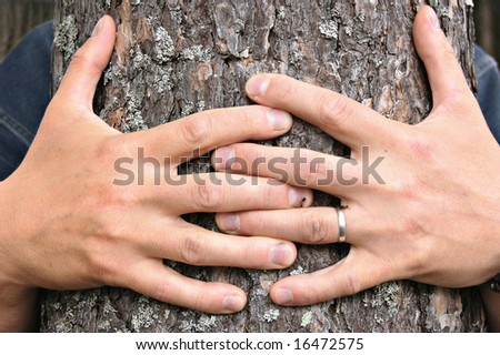A man\'s hands hugging a pine tree