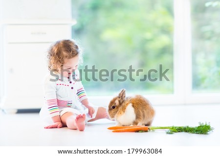 Adorable toddler girl with beautiful curly hair wearing a white dress playing with a real bunny in a sunny living room with a big garden view window sitting on the floor