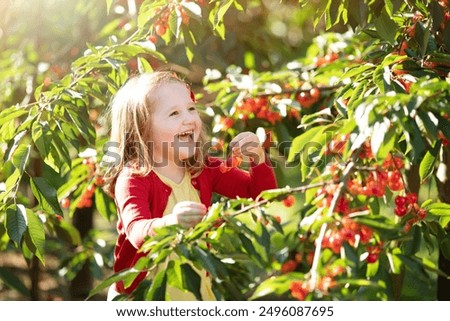 Image, Stock Photo harvest time Field