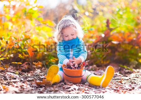 Girl holding acorn and colorful leaf in autumn park. Child picking acorns in a bucket in fall forest with golden oak and maple leaves. Children play outdoors. Kids playing and hiking in the woods.