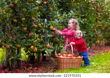 Adorable Little Girl And Baby Boy Picking Fresh Ripe Apples In Fruit ...