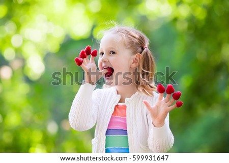 Mädchen pflückt im Garten Himbeeren vom Strauch