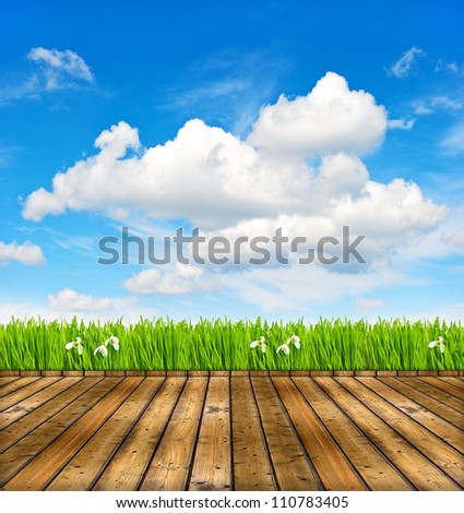 wooden terrace with view of cloudy blue sky and green grass