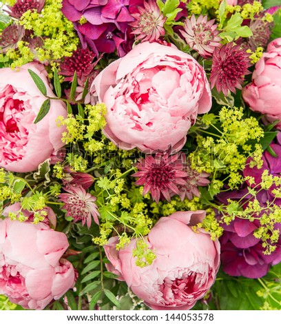 closeup of beautiful pink peony flowers. festive blooms arrangement
