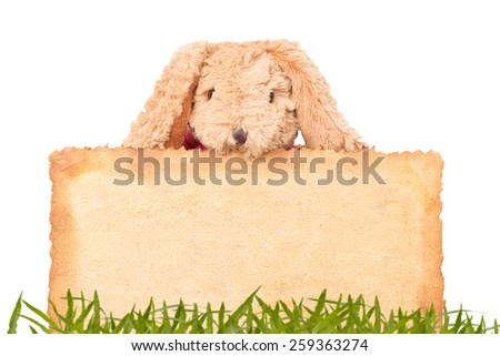 Rabbit, holding old grunge canvas fabric burn edge for happy easter eggs festival with grass background