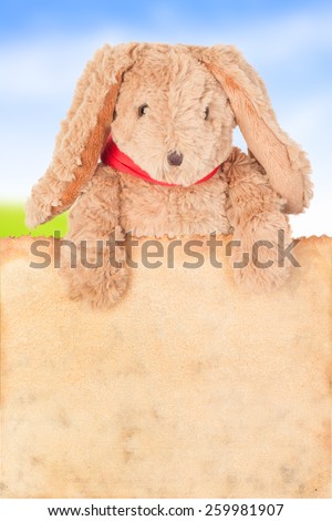 Rabbit, holding old grunge canvas fabric burn edge for happy easter eggs festival on white background