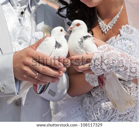 Wedding pigeons in hands of the groom and the bride