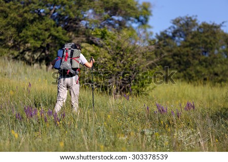Traveler with a backpack and hiking sticks. Woman traveler goes through the tall grass. View from the back. Photographed in Russia.