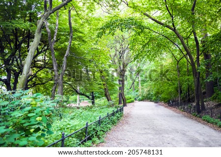 The bridle path along the west side of Central Park in New York City.  The dirt path is often traversed by horses, joggers and walkers shunning the crowded Central Park Drive.