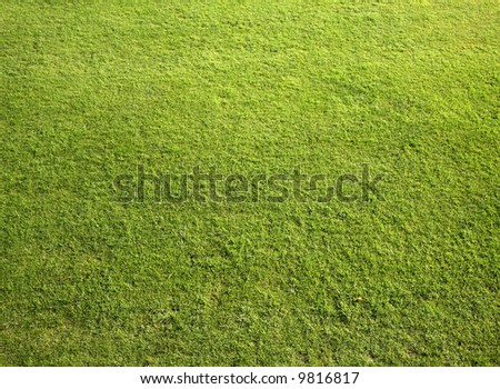 Neat cut grass on a bowling green.