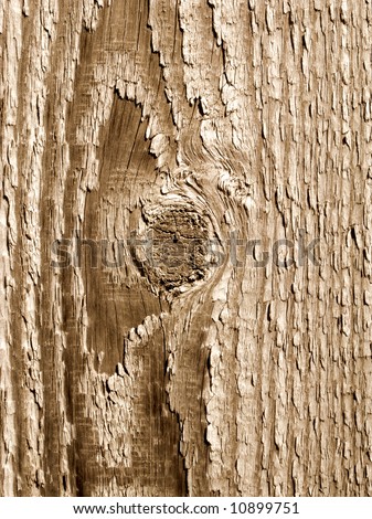 Wood knot and texture close up.
