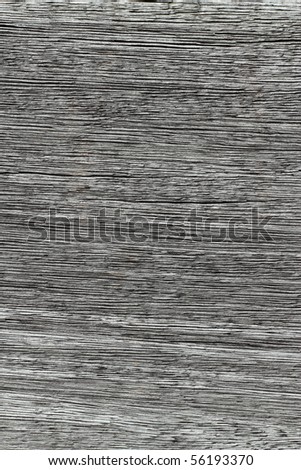 Gray wood texture lines close up natural abstract background.