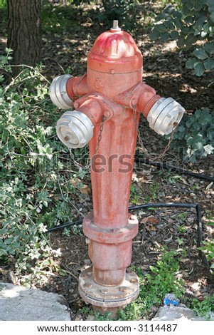A red fire hydrant for protecting the park from fires